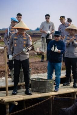 Dukung Rantai Pasok SPPG, Polda Metro Jaya Panen Raya di Muara Gembong