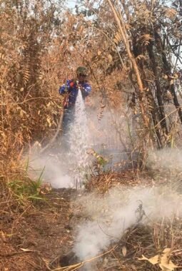 Jaga Gambut Tetap Aman, Satgas Darat Lanud Sjamsudin Noor Perkuat Pembasahan Berkelanjutan