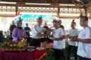 Kaskogabwilhan II Laksda TNI Isswarto, memperingati Hari Ulang Tahun ke-7, Kogabwilhan II menggelar kegiatan olahraga bersama dan aksi sosial