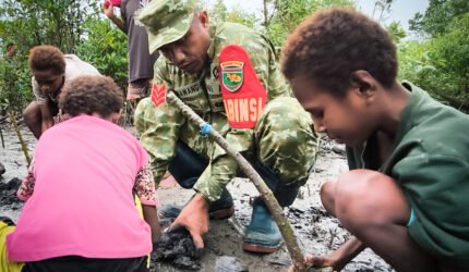 Jaga Kelestarian Lingkungan, Kodim 1710/Mimika Tanam Mangrove Sambut HUT ke-81 TNI - Teropong Rakyat