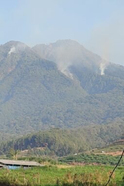 Kebakaran Gunung Kawi Capai 1.534 Hektare, Tim Gabungan Terus Pantau dan Lakukan Pendinginan