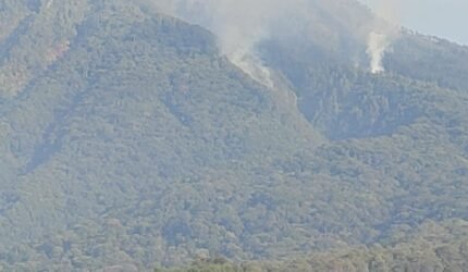 Kebakaran Gunung Kawi Capai 1.534 Hektare, Tim Gabungan Terus Pantau dan Lakukan Pendinginan - Teropong Rakyat