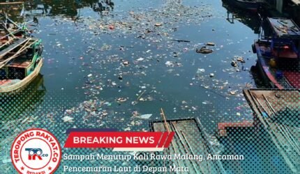 Sampah Menutup Kali Rawa Malang, Ancaman Pencemaran Laut di Depan Mata - Teropong Rakyat