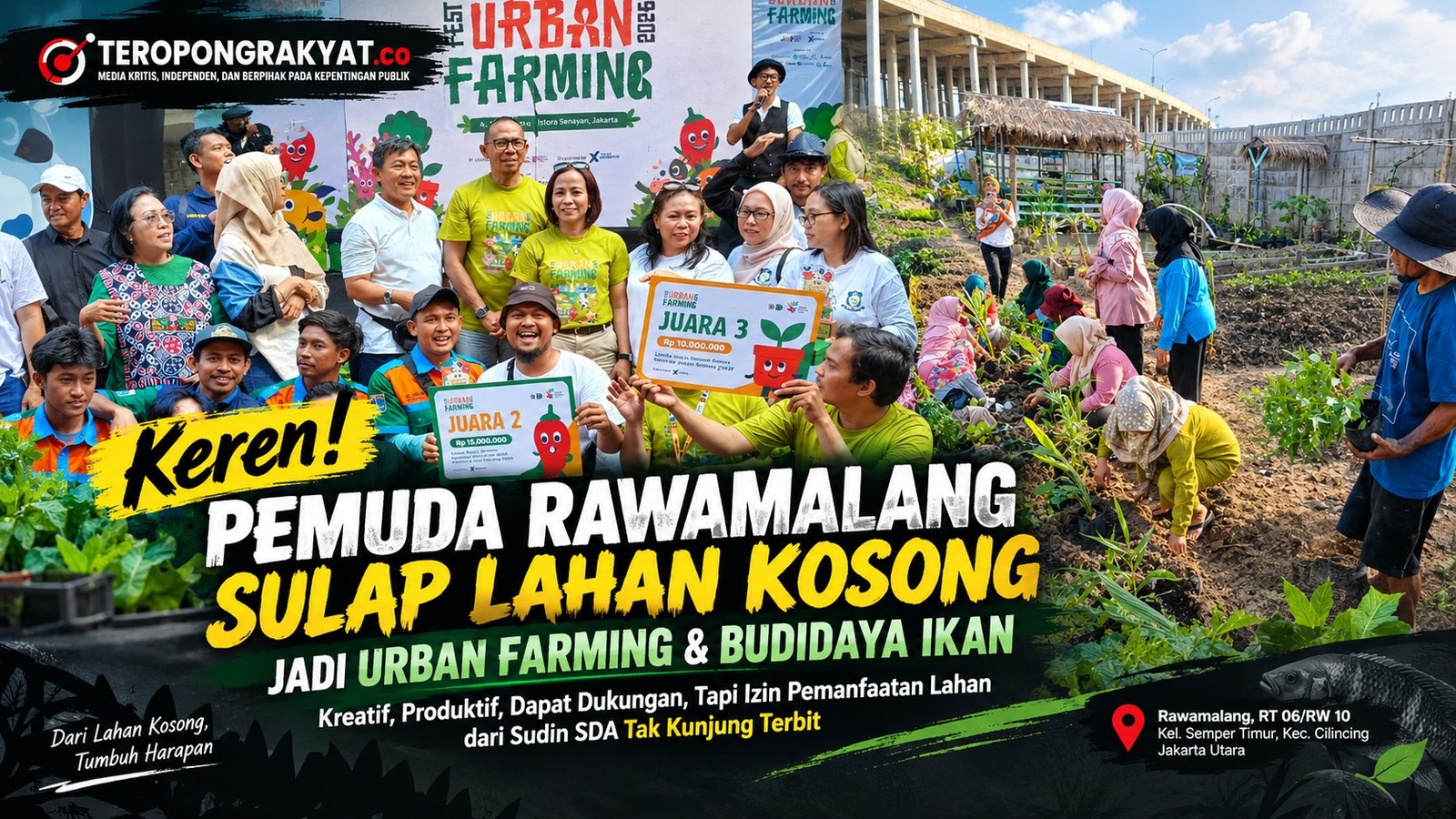 Keren! Pemuda Rawamalang Sulap Lahan Kosong Jadi Urban Farming dan Budidaya Ikan