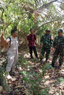 Tim Denzibang V/2 Malang Survei Lahan Rencana Marseling Area Yon TP di Srigonco