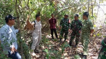 Tim Denzibang V/2 Malang Survei Lahan Rencana Marseling Area Yon TP di Srigonco