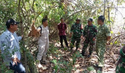 Tim Denzibang V/2 Malang Survei Lahan Rencana Marseling Area Yon TP di Srigonco - Teropong Rakyat