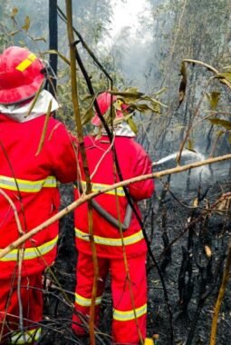 Memburu Bara di Balik Kepulan Asap, Satgas Darat Lanud Sjamsudin Noor Tak Beri Ruang Karhutla Kembali Menyala