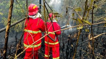 Memburu Bara di Balik Kepulan Asap, Satgas Darat Lanud Sjamsudin Noor Tak Beri Ruang Karhutla Kembali Menyala