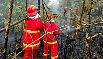 Memburu Bara di Balik Kepulan Asap, Satgas Darat Lanud Sjamsudin Noor Tak Beri Ruang Karhutla Kembali Menyala - Teropong Rakyat