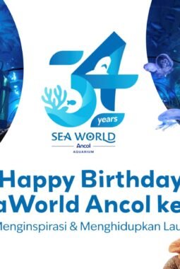 Sea World Ancol Rayakan HUT ke-34 dengan Semangat Menginspirasi dan Menghidupkan Laut