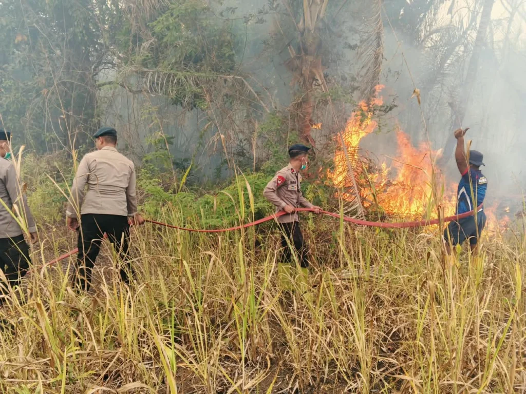 Portal Berita Indonesia dan Dunia Terkini Hari Ini, Update Harian Terbaru, Terlengkap, Tajam, Aktual dan Berimbang. Brimob Malut Respons Cepat, Bersinergi Padamkan Kebakaran Lahan di Desa Tewil - Teropong Rakyat