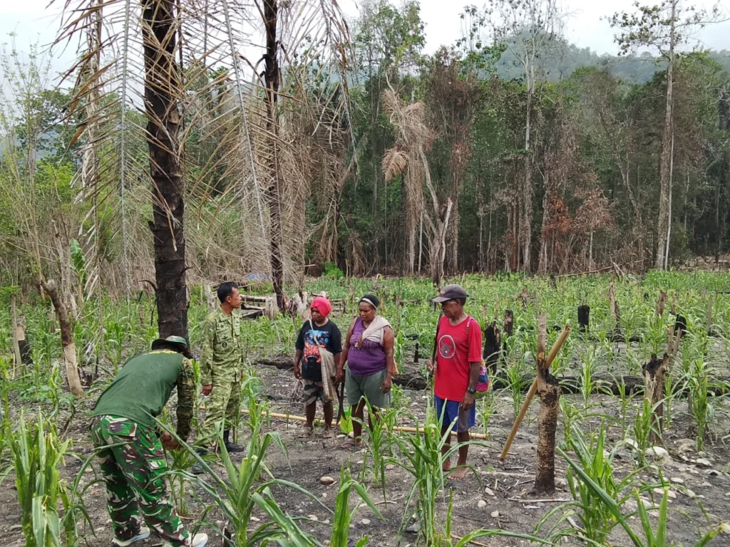 Berikan Penyuluhan Pertanian, Satgas TMMD ke-130 Dorong Kemandirian Pangan Warga Yamboi - Teropong Rakyat
