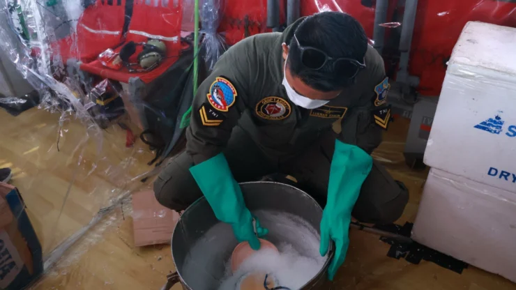 TNI Semai 11 Ton Bahan Modifikasi Cuaca untuk Atasi Karhutla di Kalimantan