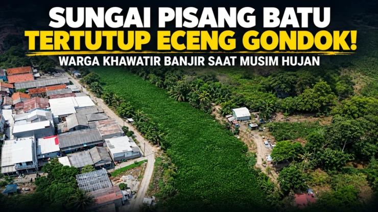 Sungai Pisang Batu Dipenuhi Sampah dan Eceng Gondok, Warga Tarumajaya Khawatir Banjir Mengancam